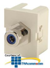 Legrand - Ortronics TracJack RCA Blue Female to Female -- OR-63700085