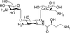 3-HABA Kanamycin A - 26002 - Medical Isotopes, Inc.