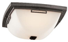 49116AVIFL Exterior -Ceiling Mount - 679674 - Capital Lighting, Inc.