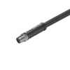 Circular Cable Assemblies - 281-2050230500-ND - DigiKey