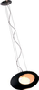 E20166-02 Pendants-Other - 757328 - Capital Lighting, Inc.
