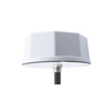 RF Antennas - 6099-PEANOM1095-ND - DigiKey