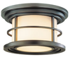 Outdoor Ceiling Light - OL2213BB - Generation Brands