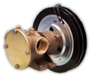 50580 Bronze Pedestal Pump -- 50580-9301