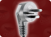 SI 32 ISRAELI GREY to IEC-60320-C13 GREY HOME // Power Cords // International Power Cords // Israel Power Cords -- 8561.079 - Image