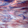 Clear/White/Cobalt/Rose, 