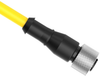 Sensor Cord, 8P, M12 Rcpt-Free End, 5M; Connector Type A Banner Engineering - 04AJ7523 - Newark, An Avnet Company
