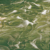 Olive Green/White, wispy Glass - 828-94S - Spectrum Glass Company, Inc.