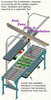 Conveyor Roller Workstation with PBT Ball Transfer and PPD Positioner Strip - Image