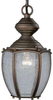 Exterior -Ceiling Mount - 234673 - Light Center (The)