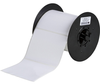 BBP33 Poyester Labels - B33-76-422 - Brady Corporation