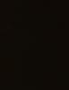 Gorgeous Fabric - 5096/05 - Pollack