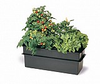 Baby Bloomer w/ Gro Rocks - AH91001 - Hydrofarm, Inc.