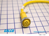 MNCM Sensor Cordsets - MIN-10FPX-12 - Galco Industrial Electronics