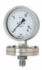 Diaphragm Pressure Gauge In Chemical Version -- DPC100 - Image