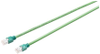 Ethernet Cable -- 2033261 - Image