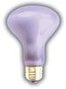 100R25/NEODYMIUM PET - DAY-BRITE -- 80973 - Image