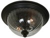 Exterior -Ceiling Mount - 291449 - Light Center (The)