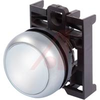 PUSHBUTTON, ILLUMINATED PUSHBUTTON, FLUSH, MOMENTARY, WHITE BUTTON, SILVER BEZEL -- 70057771
