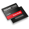 Memory IC and Storage Component - 502-SDINBDG4-64G-ZA - ERSAELECTRONICS PTE. LTD.