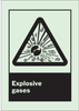 Brady Bradyglo B-347 Polyester / Polystyrene Rectangle Chemical, Biohazard, Hazardous & Flammable Material Sign - 7 in Width x 10 in Height - Glow in the Dark - TEXT: EXPLOSIVE GASES - 90710 - 754476-90710 - R. S. Hughes Company, Inc.