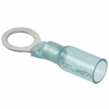 Terminals - Ring Connectors - WM7007TR-ND - DigiKey