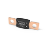Fuses - 0MEG175.XP-ND - DigiKey