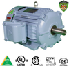 Explosion Proof Motors-Rigid Base, Rigid Base-Inverter Duty -- IXHHI10-12-256T - Image