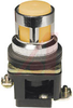 Pushbutton, LED Illuminated, Flush Operator, Amber, Momentary, 30mm, 24VAC/VDC - 70156665 - Allied Electronics, Inc.