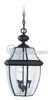 Three-Light Outdoor Hanging Lantern Fixture - 6039-12 - bulbs.com