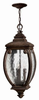 Exterior -Hanging - 232088 - Light Center (The)