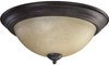 3073-15-44 Flush Mounts-Bowl Style - 473475 - Capital Lighting, Inc.