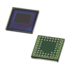 Image Sensors, Camera - OV03640-V56A-2D -- OV03640-V56A-2D