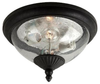 88068-746 Exterior -Ceiling Mount - 361102 - Capital Lighting, Inc.