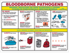 Prinzing Biohazard Safety Poster - PS125E - Brady Corporation