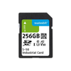 Memory Cards - 1052-SFSD256GL1AM1TB-E-VG-211-STD-ND - DigiKey