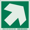 Brady Glo IMO Evacuation Sign - 59279 - Brady Corporation