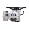 Electric Intelligent Actuators, IQ3 Pro - Image
