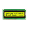 LCD, OLED Character and Numeric -- NHD-0216PZ-FL-YBW-PC-ND