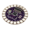 Wearables - 1568-09266-ND - DigiKey