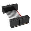 Rectangular Cable Assemblies - FFSD-08-D-24.00-01-N-RN1-ND - DigiKey