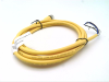 QD Cable/Cord Set - Radwell International