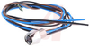 Connector, Pico M8 Receptacle, 3 Pole, Female, 0.5 Meter Cable, 24AWG, IP 67 - 70051042 - Allied Electronics, Inc.