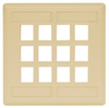 Datacommunication Face Plate -- IFP212TI - Image