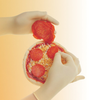 QRP Biotek 609BPF White Large Latex Powder Free Disposable Gloves - Food Grade - Rough Finish - 9 in Length - 609BPF LG - 609BPF LG - R. S. Hughes Company, Inc.
