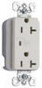 Surge Suppression Receptacle - 5352-LASP - Thomas & Betts Corporation