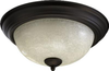 3067-13-86 Flush Mounts-Bowl Style - 457563 - Capital Lighting, Inc.