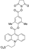 2’,6’-Dimethylcarbonylphenyl-10-sulfopropylacr.. - D471900 - Toronto Research Chemicals, Inc.