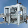 Case Packing Machine -- CCM 3100 - Image