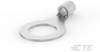 Ring Terminals - 36810 - TE Connectivity
